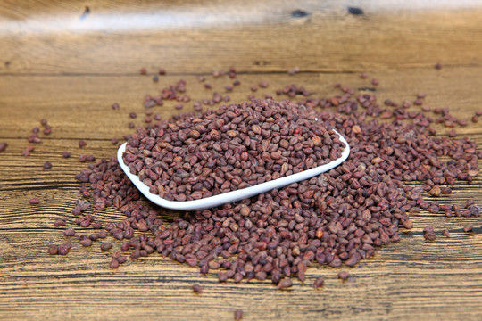 稻谷種子 從田野到餐桌的農(nóng)作物生命之源