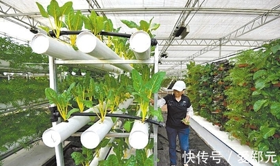 太空種子 神舟十二號(hào)的特殊“乘客”，為農(nóng)業(yè)插上科技翅膀